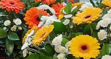 Florist choice flowers